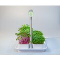 Microgreens by Leaf Learn Mini Starter Pack_1101545480