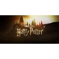 Revelio! Harry Potter se dočká seriálové adaptace