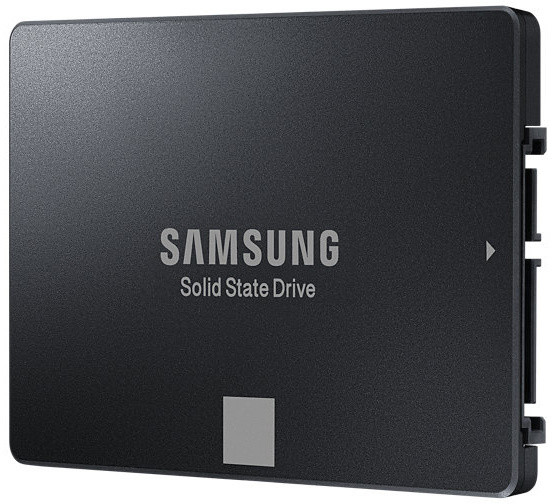 Samsung SSD 750 EVO - 500GB_1829572887