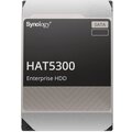 Synology HAT5300-16T, 3.5” - 16TB Poukaz 200 Kč na nákup na Mall.cz + O2 TV HBO a Sport Pack na dva měsíce