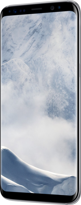 Samsung Galaxy S8, 4GB/64GB, stříbrná_94889914