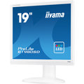 iiyama ProLite B1980SD-W1 - LED monitor 19&quot;_1054393331