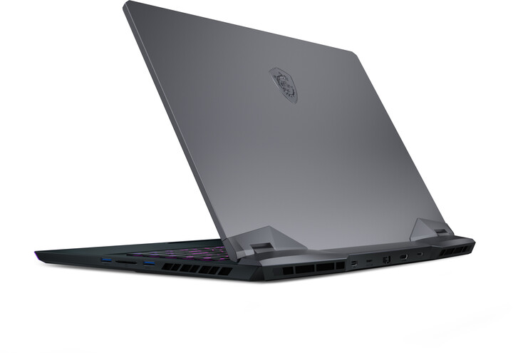 MSI GE66 Raider 10SGS-411CZ, černá-šedá_420812646