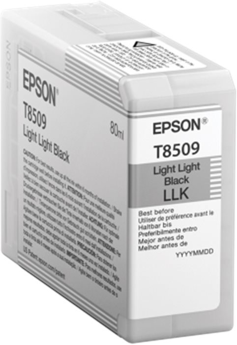 Epson T850900, (80ml), light light black_1342079901