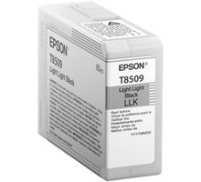 Epson T850900, (80ml), light light black C13T850900