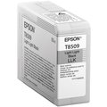 Epson T850900, (80ml), light light black