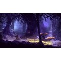 Seasons after Fall (Xbox ONE) - elektronicky_1120591683