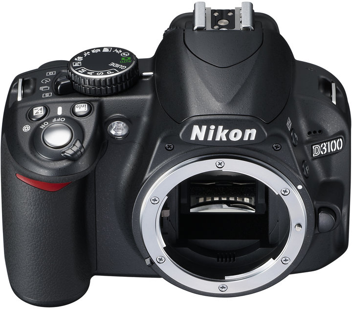 Nikon D3100 + 18-105 AF-S DX VR_2010062976