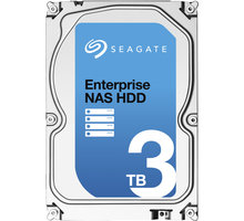 Seagate Enterprise NAS - 3TB_968116499