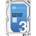 Seagate Enterprise NAS - 3TB
