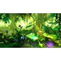 Trine 2 Complete Collection (PC)_1151738689