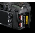 Nikon D600 + 24-85 VR AF-S_847316791