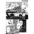 Komiks Čarodějova nevěsta, 9.díl, manga_754029871