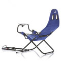 Playseat Challenge, PlayStation Edition_1504694833