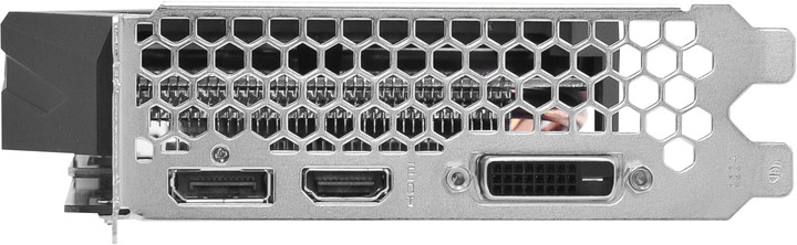 Gainward GeForce GTX 1660 Pegasus, 6GB GDDR5_1680158165
