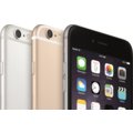 Apple iPhone 6 Plus - 16GB, stříbrná_1601870414