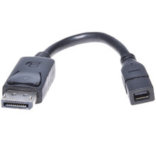 PremiumCord DisplayPort adapter na mini, DP/Male - mini DP/Female, 17cm_1031390058