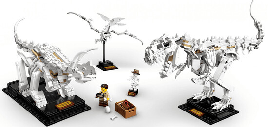 LEGO® Ideas 21320 Dinosauří fosilie_1487609472