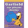 Komiks Garfield žije plnými doušky, 33.díl
