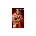 WWE 2K15 (PS4)_301606978