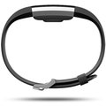 Google Fitbit Charge 2, L, černá_1026789007