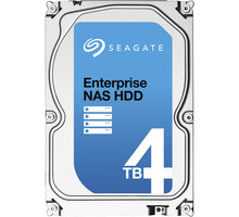 Seagate Enterprise NAS - 4TB + Rescue_449558941