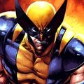 Drápy vytáhnout! Recenzujeme komiks Wolverine: Zrození