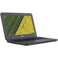 Acer Chromebook 11 N7 (C731-C9G3), stříbrná_2018304479