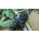 Je tady GoPro HERO12 Black, všestranná kamera nabitá funkcemi