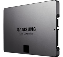 Samsung SSD 840 EVO - 250GB, Basic_1309283573