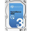Seagate Surveillance - 3TB_1701936085