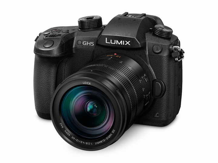 Panasonic Lumix DMC-GH5 + Leica DG 12-60mm f/2.8-4_535181656
