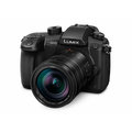 Panasonic Lumix DMC-GH5 + Leica DG 12-60mm f/2.8-4_535181656