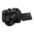 Panasonic Lumix DMC-GH5 + Leica DG 12-60mm f/2.8-4_1514508749