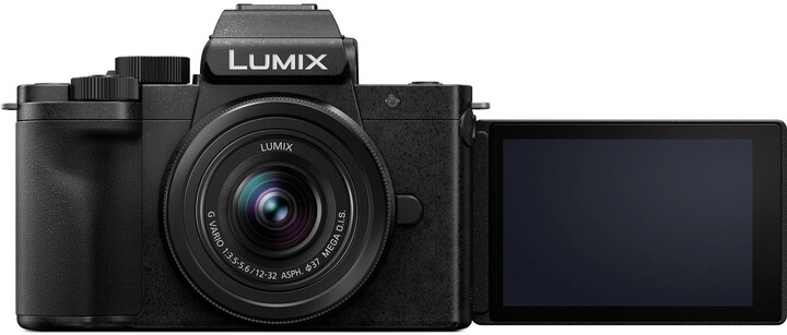 Panasonic Lumix G100 + LUMIX G VARIO 12-32mm f/3.5-5.6 + Tripod Grip DMW-SHGR1