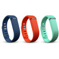 Google Fitbit Flex Accessory Pack S_1337864715