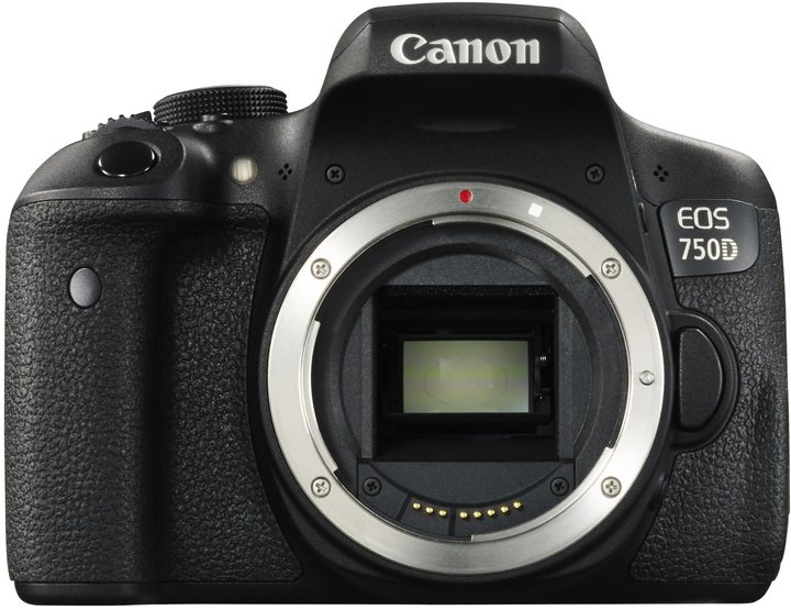 Canon EOS 750D + EF-S 18-55 IS STM_1048333368