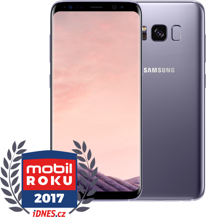 Samsung Galaxy S8, 64GB, šedá_541499092