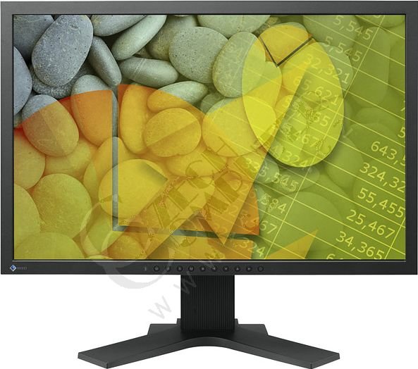 Eizo FlexScan S2202WE-BK - LCD monitor 22&quot;_523170177