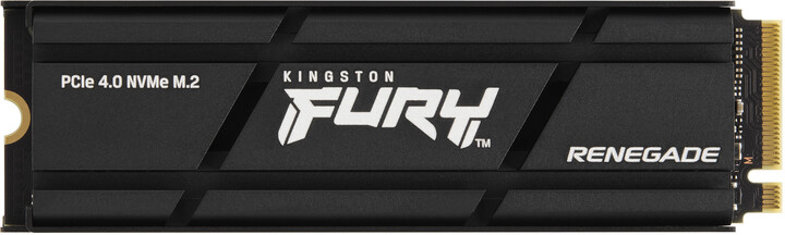Kingston SSD FURY Renegade, M.2 - 1000GB + heatsink_923972883