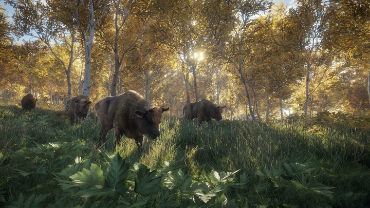 theHunter: Call of the Wild (PS4)_1348951858