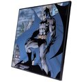Obraz Batman - Gotham Crystal Clear Art Pictures (32x32)_1929597582