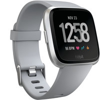 Google Fitbit Versa (NFC) - Gray / Silver Aluminum_119273015