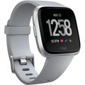 Google Fitbit Versa (NFC) - Gray / Silver Aluminum_119273015