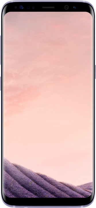 Samsung Galaxy S8, 64GB, šedá_440357715