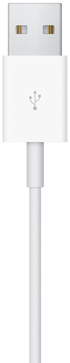 Apple Watch magnetický nabíjecí kabel (1m)