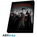 Dárkový set Harry Potter - Gryffindor, hrnek, klíčenka, zápisník, 320ml_651851890