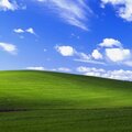 Zdrojový kód Windows XP unikl na internet. Je to bezpečnostní riziko