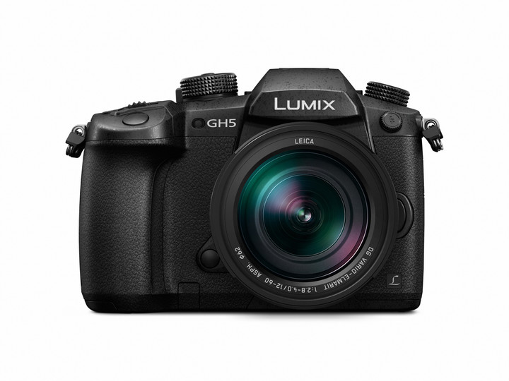 Panasonic Lumix DMC-GH5 + Leica DG 12-60mm f/2.8-4_1741772771