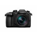 Panasonic Lumix DMC-GH5 + Leica DG 12-60mm f/2.8-4_1741772771